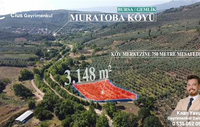 C21 Cius; Bursa/Gemlik Muratoba Köyünde Satılık 3148 m2 Tarla