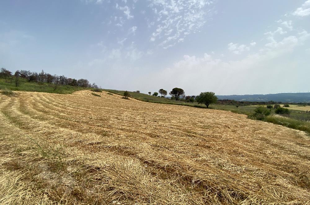 Çanakkale, Merkez, Yağcılar Köyü, Satılık Tarla