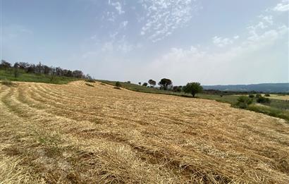 Çanakkale, Merkez, Yağcılar Köyü, Satılık Tarla