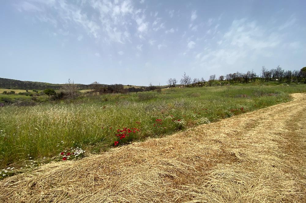 Çanakkale, Merkez, Yağcılar Köyü, Satılık Tarla