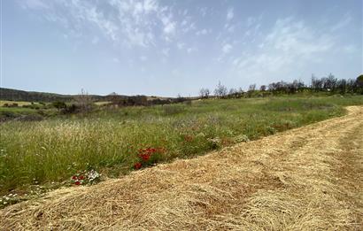 Çanakkale, Merkez, Yağcılar Köyü, Satılık Tarla