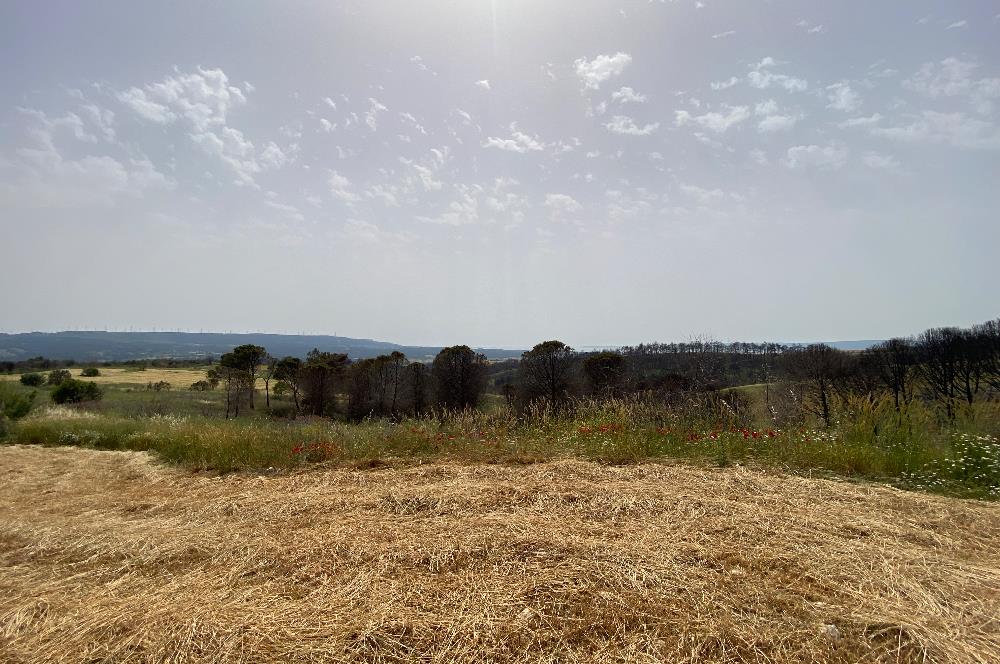 Çanakkale, Merkez, Yağcılar Köyü, Satılık Tarla