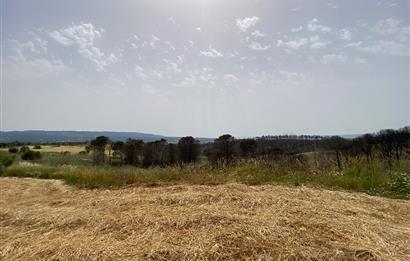 Çanakkale, Merkez, Yağcılar Köyü, Satılık Tarla