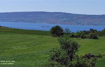 Çanakkale Lapseki'de Boğaz Manzaralı 5639 m2 Arazi