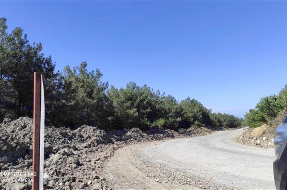 Çanakkale Lapseki'de Boğaz Manzaralı 5639 m2 Arazi