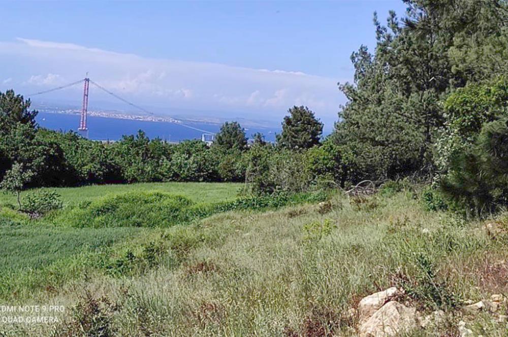 Çanakkale Lapseki'de Boğaz Manzaralı 5639 m2 Arazi