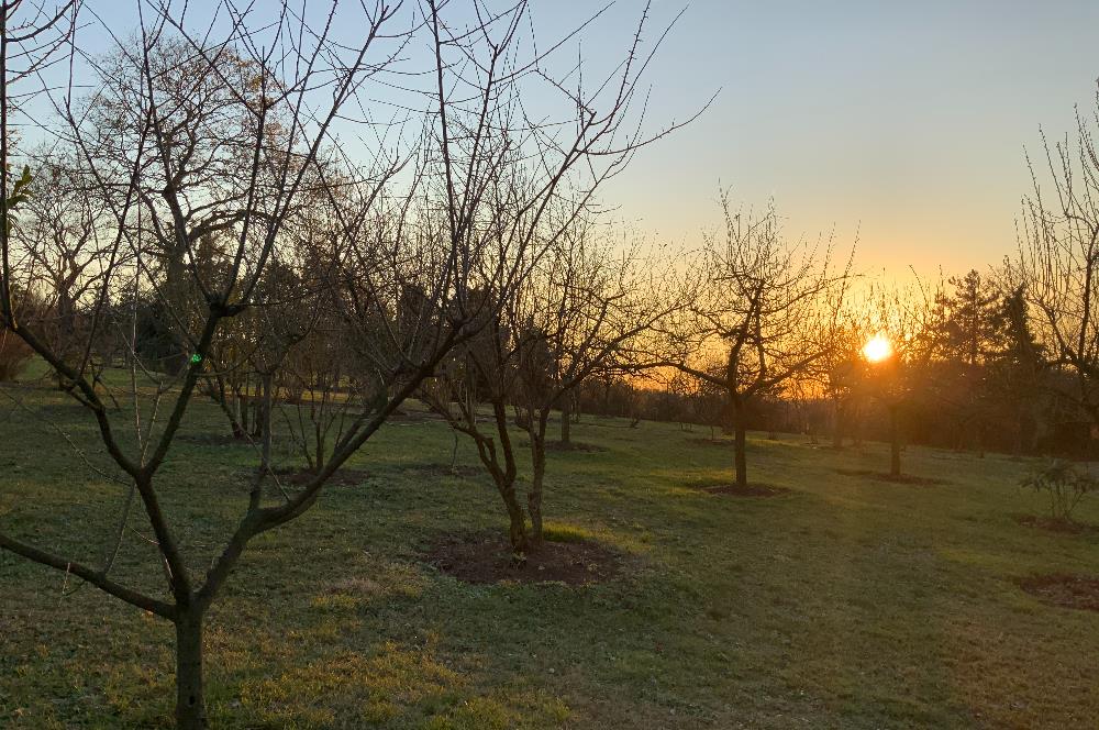 GEBZE YAĞCILARDA SATILIK VİLLA VE ARSASI