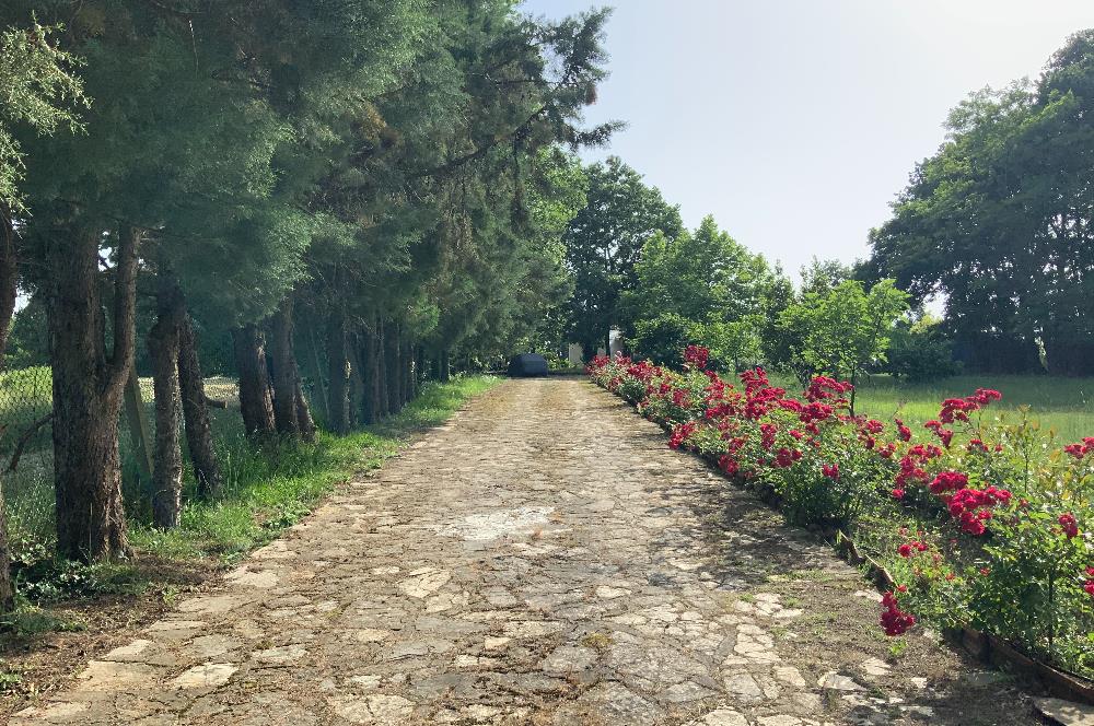 GEBZE YAĞCILARDA HARİKA KONUMDA SATILIK ARSA