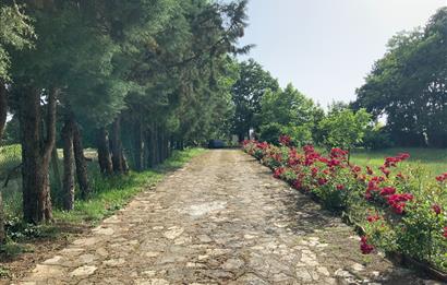 GEBZE YAĞCILARDA HARİKA KONUMDA SATILIK ARSA