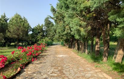 GEBZE YAĞCILARDA SATILIK VİLLA VE ARSASI