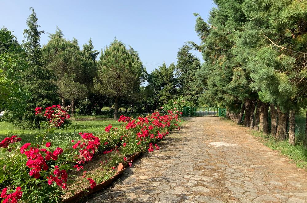 GEBZE YAĞCILARDA HARİKA KONUMDA SATILIK ARSA