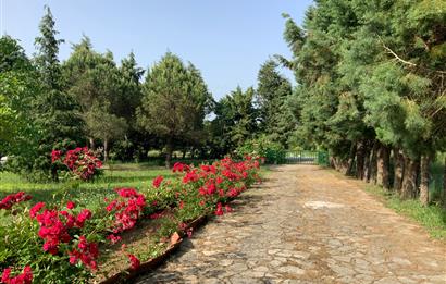 GEBZE YAĞCILARDA SATILIK VİLLA VE ARSASI