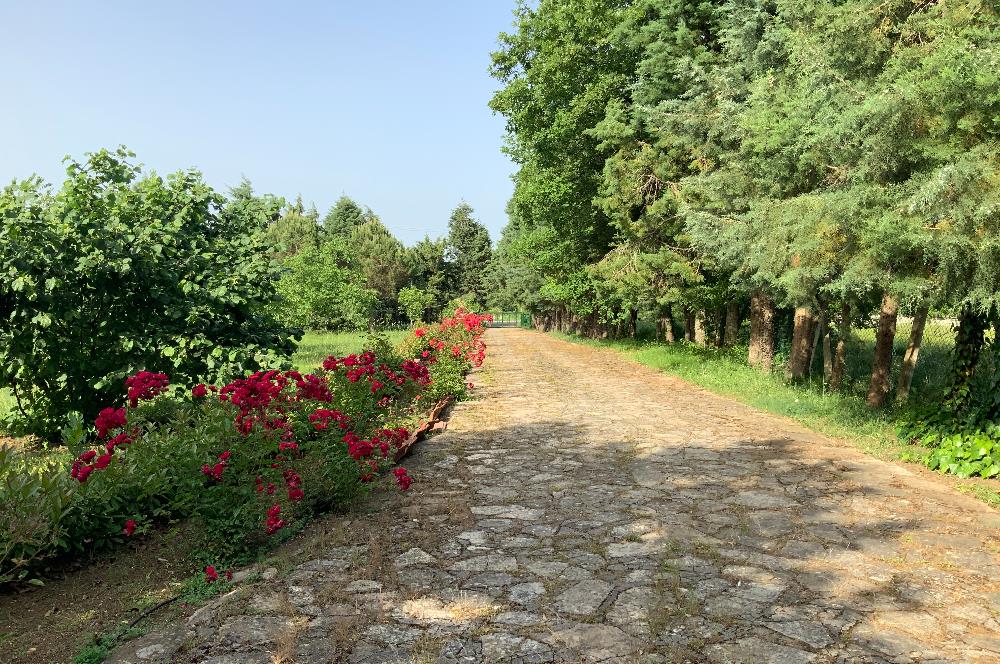 Rüyalarınızı Gerçeğe Dönüştürecek Lüks ve Doğayla İç İçe Villa