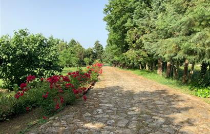 GEBZE YAĞCILARDA SATILIK VİLLA VE ARSASI