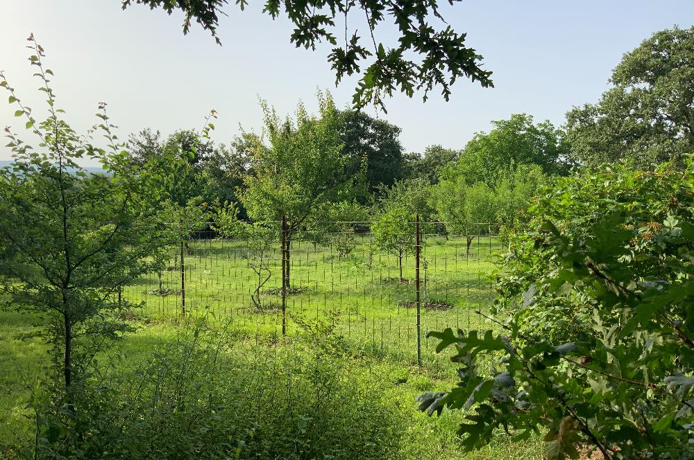 GEBZE YAĞCILARDA HARİKA KONUMDA SATILIK ARSA