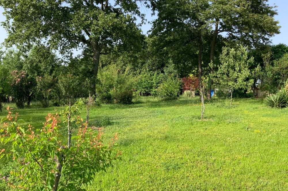 GEBZE YAĞCILARDA HARİKA KONUMDA SATILIK ARSA