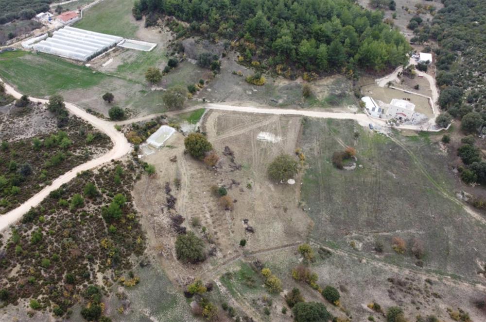  Kaş Belkonak Mahallesi Doğa içinde Satılık Tarla 