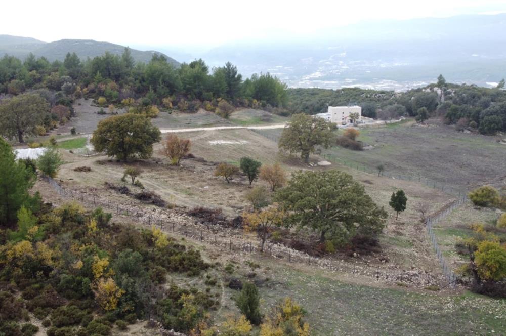  Kaş Belkonak Mahallesi Doğa içinde Satılık Tarla 