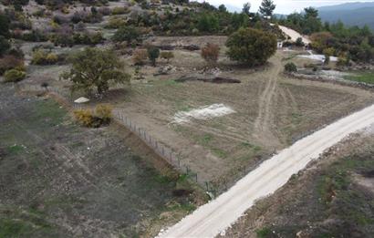  Kaş Belkonak Mahallesi Doğa içinde Satılık Tarla 