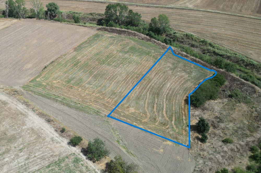 C21; MURATLI A.SEVİNDİKLİ STREAM SIDE 4000 M2 DETACHED FIELD