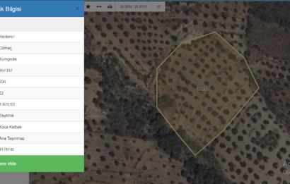 Balıkesir, Gömeç Kumgedik Köyünde Satılık Zeytinlik!