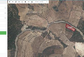 Seaside Olive Grove with Forest Views for Sale in Kumgedik Village, Gömeç