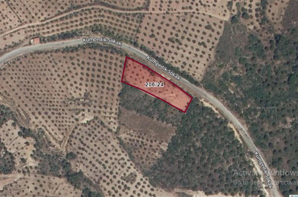 Seaside Olive Grove with Forest Views for Sale in Kumgedik Village, Gömeç