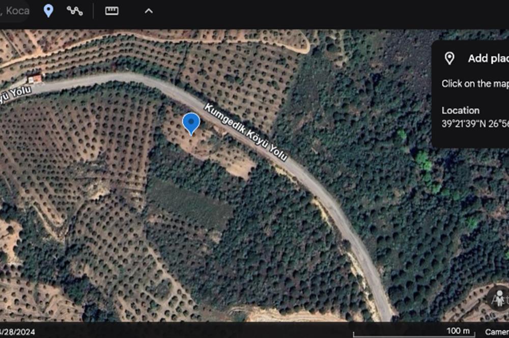 Seaside Olive Grove with Forest Views for Sale in Kumgedik Village, Gömeç