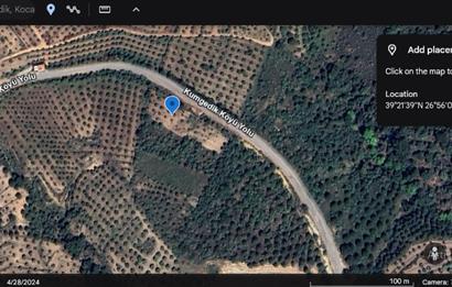 Seaside Olive Grove with Forest Views for Sale in Kumgedik Village, Gömeç