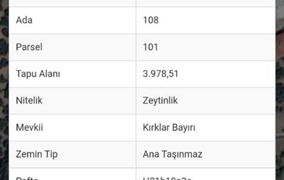 MUDANYA AYDINPINAR'DA İMARLI ARSA