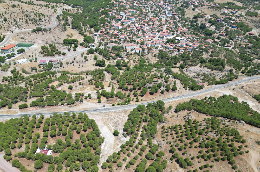 Ayvalık Akçapınar'da Satılık, Ana Asfalt Üzerinde Arazi