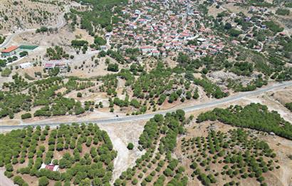 Ayvalık Akçapınar'da Satılık, Ana Asfalt Üzerinde Arazi