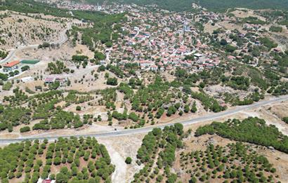 Ayvalık Akçapınar'da Satılık, Ana Asfalt Üzerinde Arazi