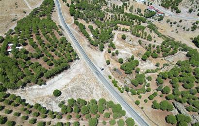 Ayvalık Akçapınar'da Satılık, Ana Asfalt Üzerinde Arazi