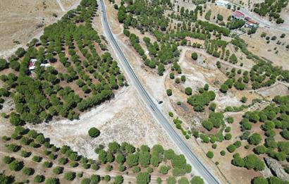 Ayvalık Akçapınar'da Satılık, Ana Asfalt Üzerinde Arazi