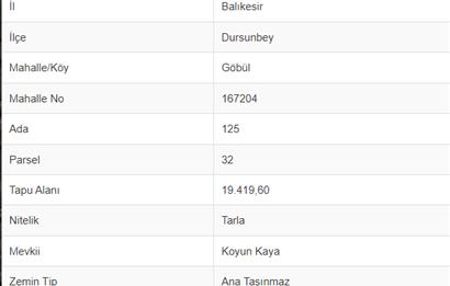 CENTURY21 LOCA'DAN DURSUNBEY GÖBÜL MAH.SATILIK 19419 m2 TARLA