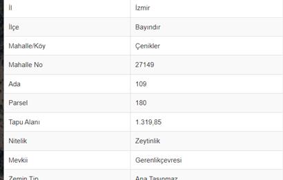 İzmir Bayındır Çenikler'de 1.320 m² Tek Tapu Satılık Zeytinlik 