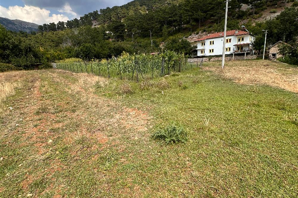 MUĞLA NİF YAYLASI'NDA 1483 M2 SATILIK İMARLI ARSA