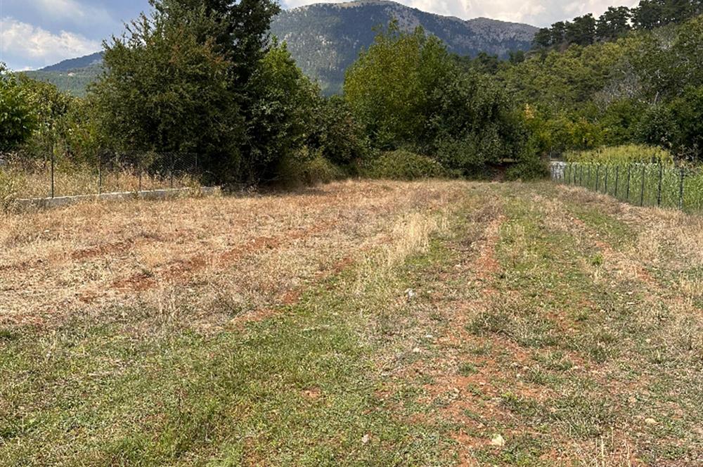 MUĞLA NİF YAYLASI'NDA 1483 M2 SATILIK İMARLI ARSA