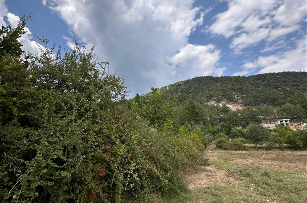 MUĞLA NİF YAYLASI'NDA 1483 M2 SATILIK İMARLI ARSA