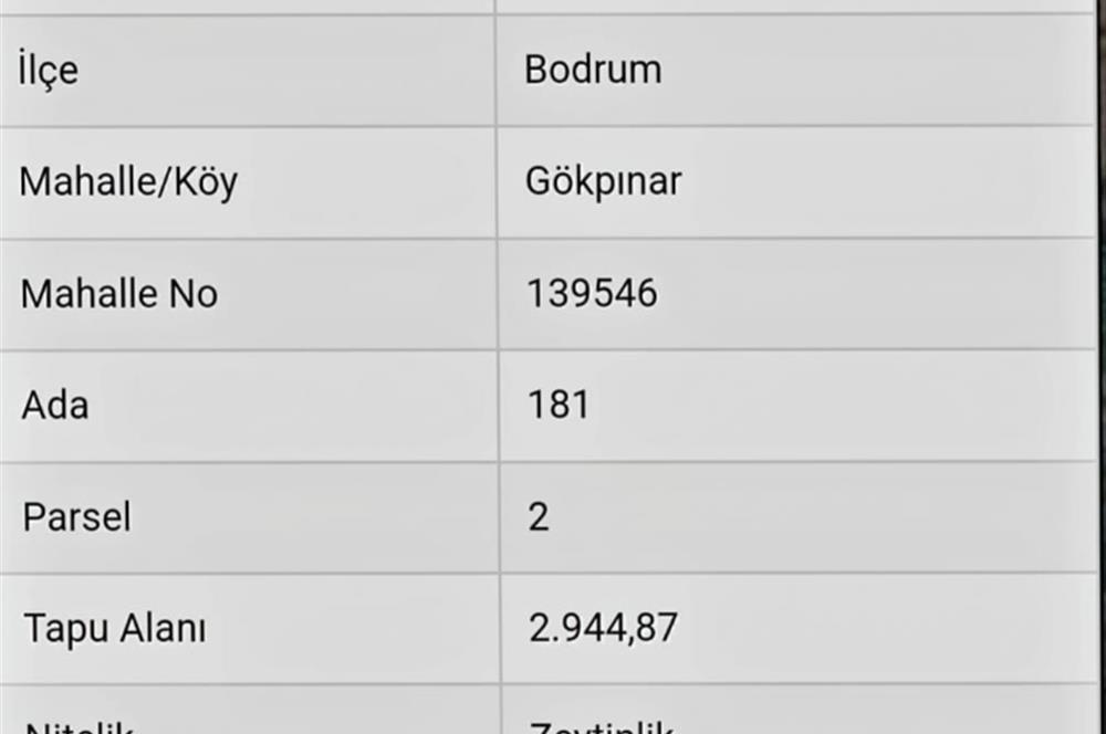 Bodrum Gökpınar da Dere Üstü 2.944 m2 Satılık Zeytinlik