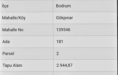 Bodrum Gökpınar da Dere Üstü 2.944 m2 Satılık Zeytinlik