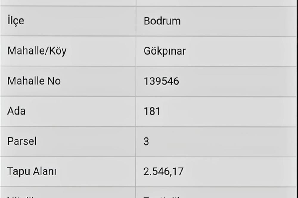 Bodrum Gökpınar da 2.546 m2 Satılık Zeytinlik Arazi