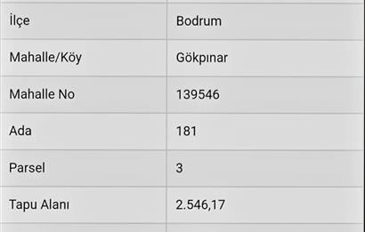 Bodrum Gökpınar da 2.546 m2 Satılık Zeytinlik Arazi