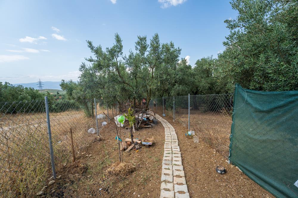 C21 Cius; İmara 200 m Mesafede Manzaralı Satılık Hobi Bahçesi