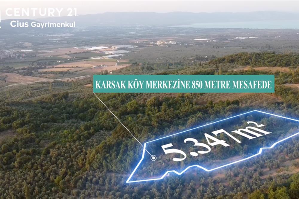 C21 Cius; Bursa/Orhangazi Karsak Köyünde Satılık 5347 m2 Tarla