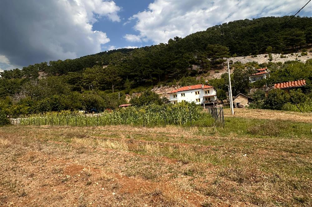 MUĞLA NİF YAYLASI'NDA 1483 M2 SATILIK İMARLI ARSA