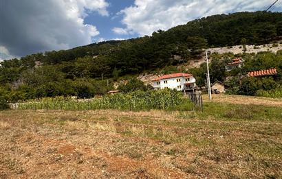 MUĞLA NİF YAYLASI'NDA 1483 M2 SATILIK İMARLI ARSA