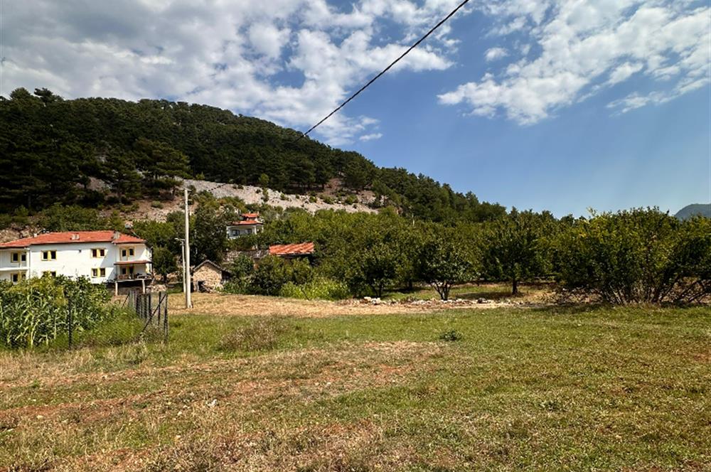 MUĞLA NİF YAYLASI'NDA 1483 M2 SATILIK İMARLI ARSA