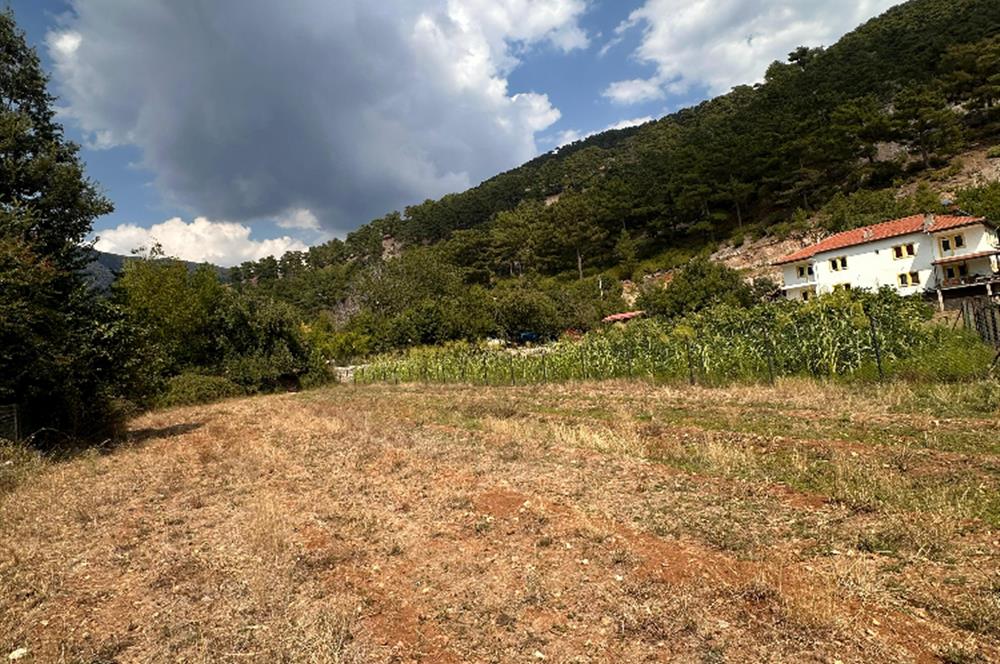 MUĞLA NİF YAYLASI'NDA 1483 M2 SATILIK İMARLI ARSA